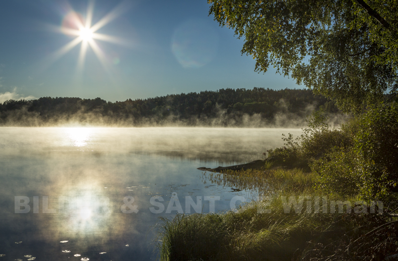 Sjö i höstdimma