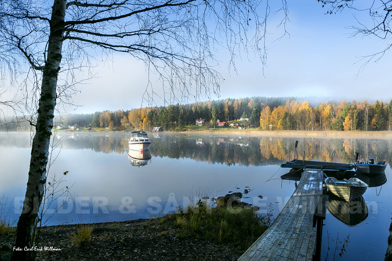 Morgondimma. Värmeln Värmskog.